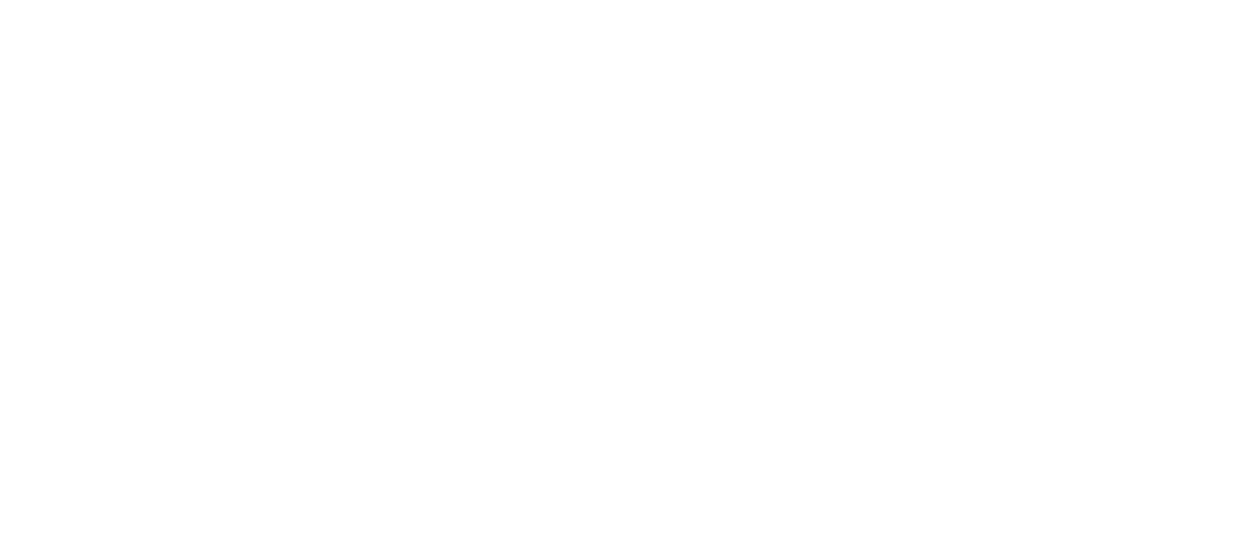 Energetic Chiropractic Logo